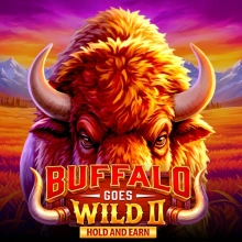 Buffalo Goes Wild II